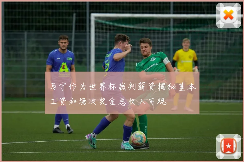 马宁作为世界杯裁判薪资揭秘基本工资加场次奖金总收入可观